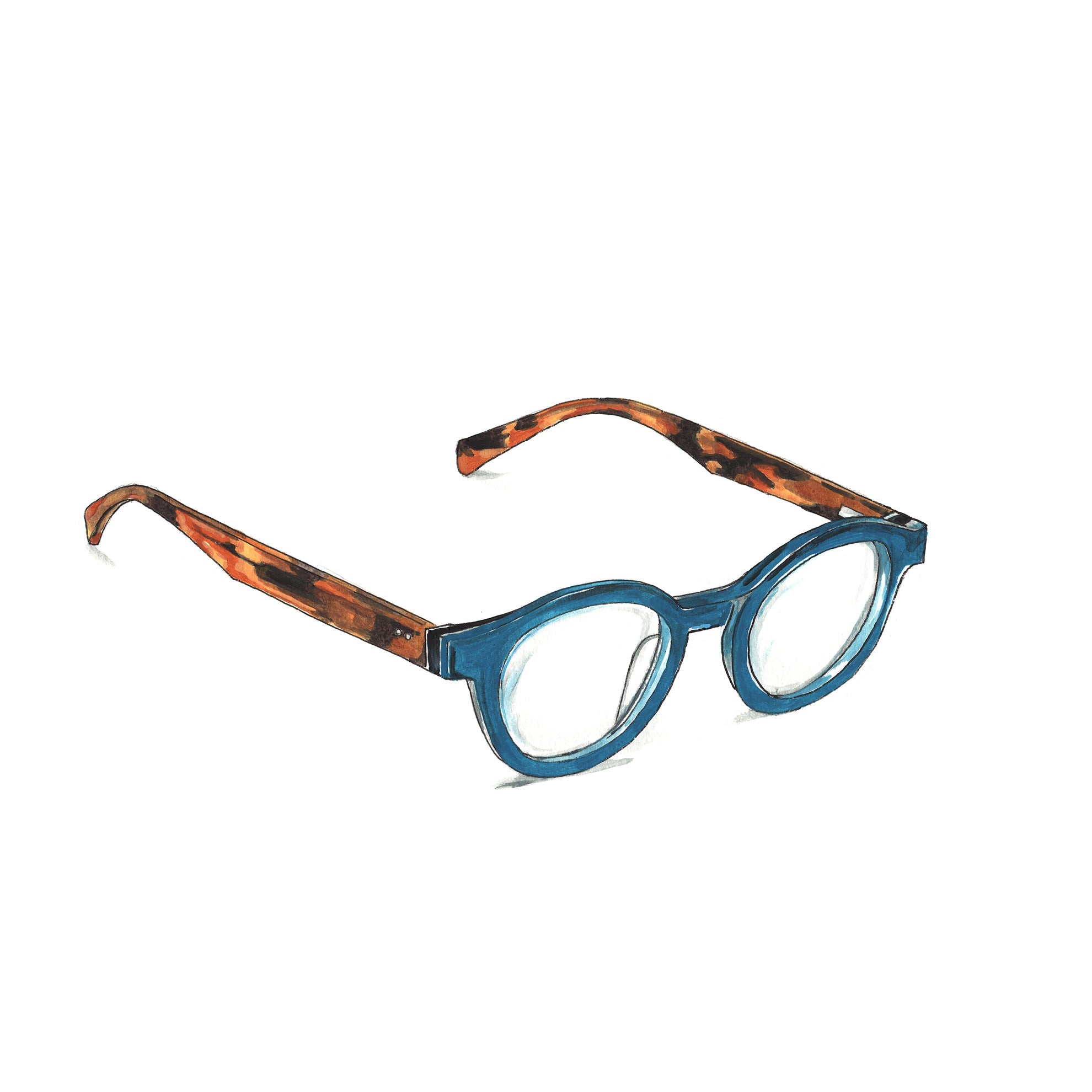 Teal Tortoise